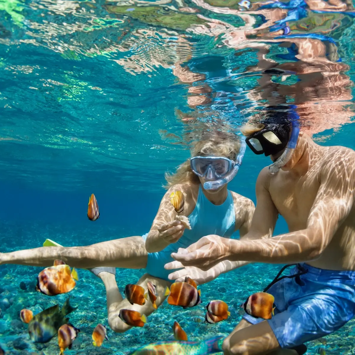 young couple admiring fish while snorkeling
